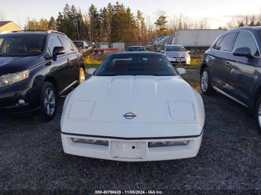 1989 Chevrolet Corvette VIN: 1G1YY2188K5120462 Lot: 40796628