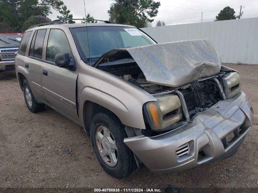 2002 Chevrolet Trailblazer VIN: 1GNDS13S722465324 Lot: 40798938