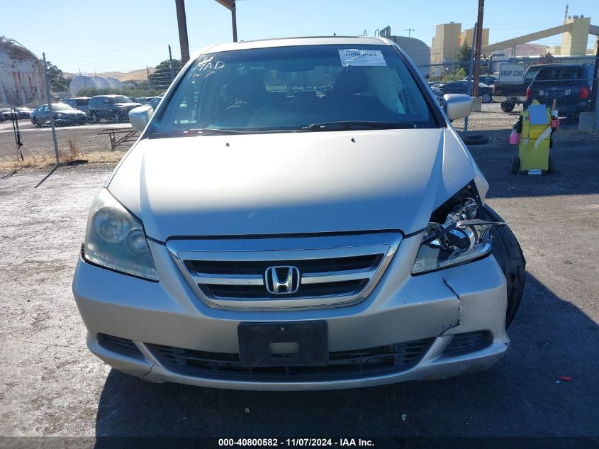 2007 Honda Odyssey Ex-L VIN: 5FNRL38617B446212 Lot: 40800582