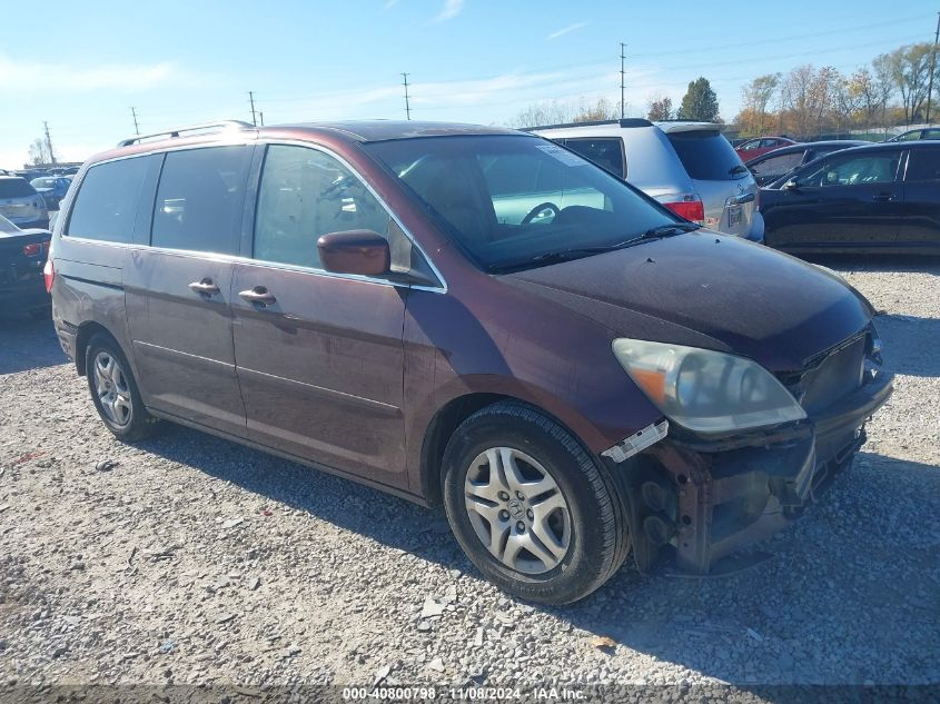 2007 Honda Odyssey Ex-L VIN: 5FNRL38657B460033 Lot: 40800798