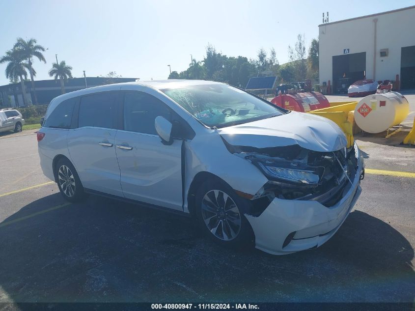 2024 Honda Odyssey Exl VIN: 5FNRL6H64RB051557 Lot: 40800947