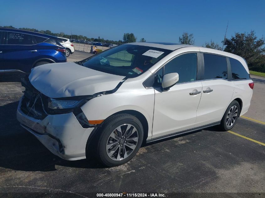 2024 Honda Odyssey Exl VIN: 5FNRL6H64RB051557 Lot: 40800947