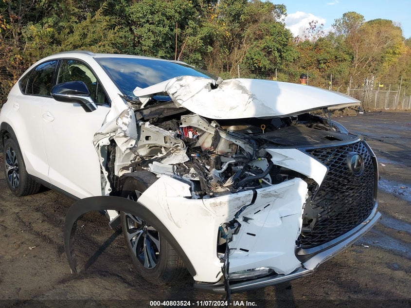 2020 LEXUS NX 300 F SPORT - JTJSARDZ3L5013218