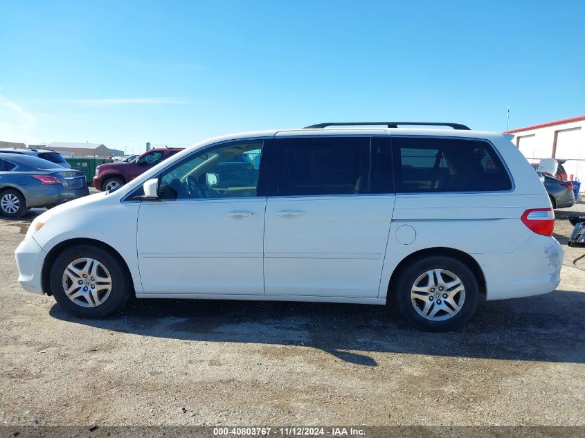 2007 Honda Odyssey Ex-L VIN: 5FNRL387X7B141588 Lot: 40803767