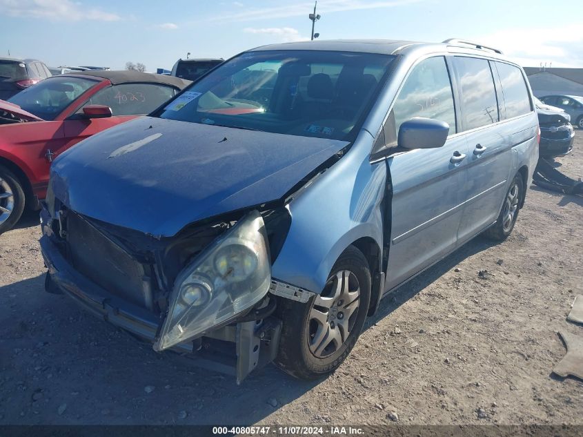 2007 Honda Odyssey Ex-L VIN: 5FNRL38717B069812 Lot: 40805747