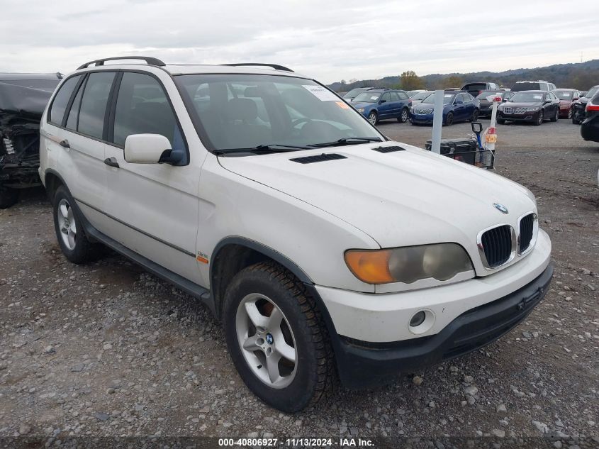 2003 BMW X5 3.0I VIN: 5UXFA53523LV89260 Lot: 40806927