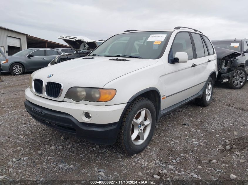 2003 BMW X5 3.0I VIN: 5UXFA53523LV89260 Lot: 40806927