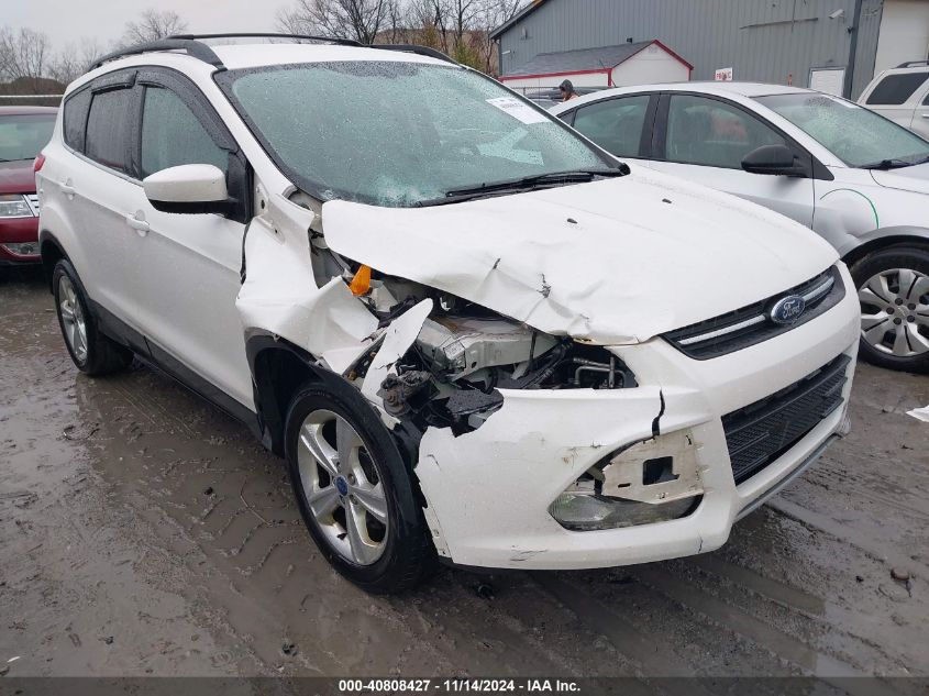 2013 Ford Escape Se VIN: 1FMCU0G96DUD00299 Lot: 40808427