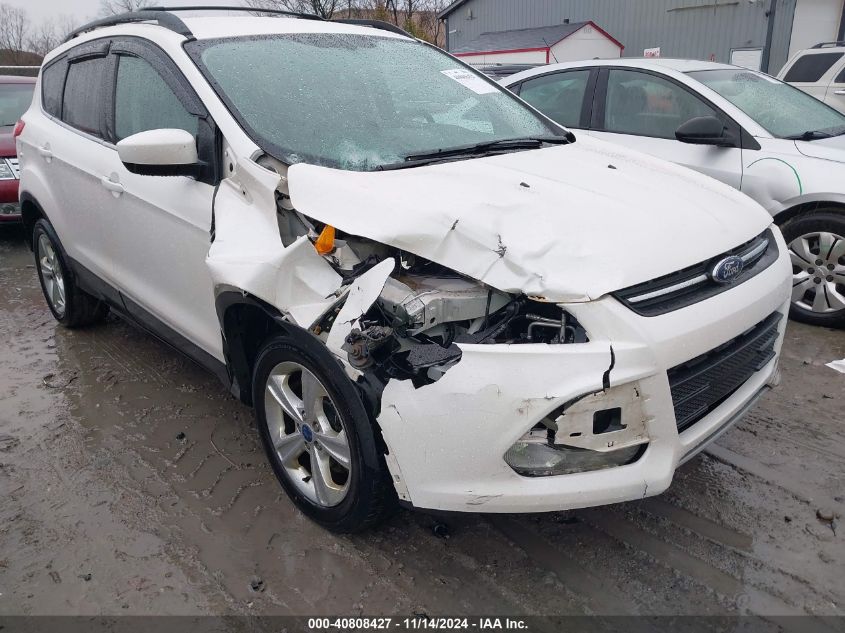 2013 Ford Escape Se VIN: 1FMCU0G96DUD00299 Lot: 40808427