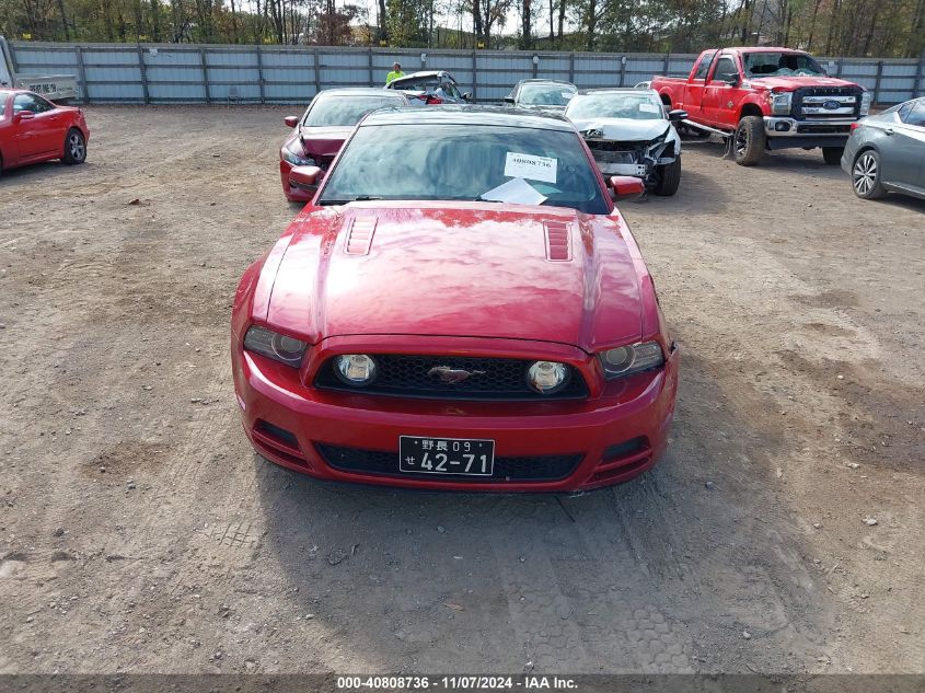 2013 Ford Mustang Gt Premium VIN: 1ZVBP8CF7D5240669 Lot: 40808736