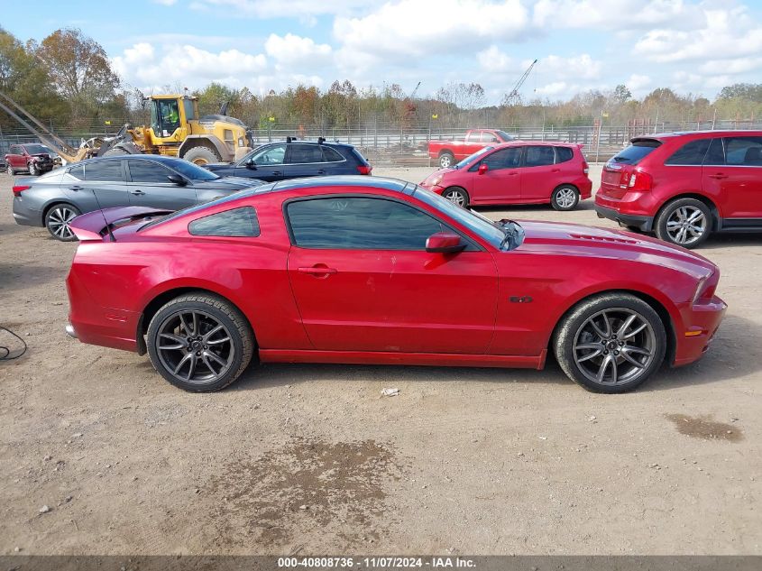 2013 Ford Mustang Gt Premium VIN: 1ZVBP8CF7D5240669 Lot: 40808736