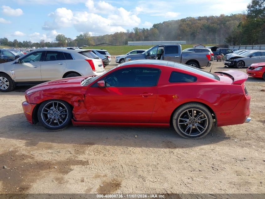 2013 Ford Mustang Gt Premium VIN: 1ZVBP8CF7D5240669 Lot: 40808736