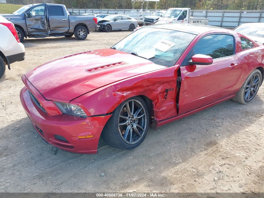 2013 Ford Mustang Gt Premium VIN: 1ZVBP8CF7D5240669 Lot: 40808736