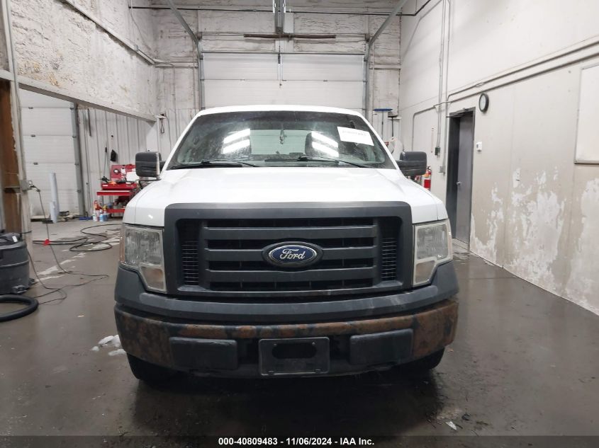 2010 Ford F-150 Xl/Xlt VIN: 1FTEW1E87AFD89999 Lot: 40809483