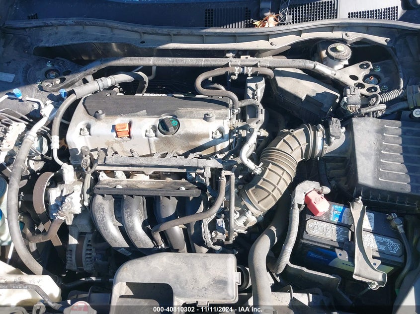 2010 HONDA ACCORD VIN: 1HGCP2F86AA081827