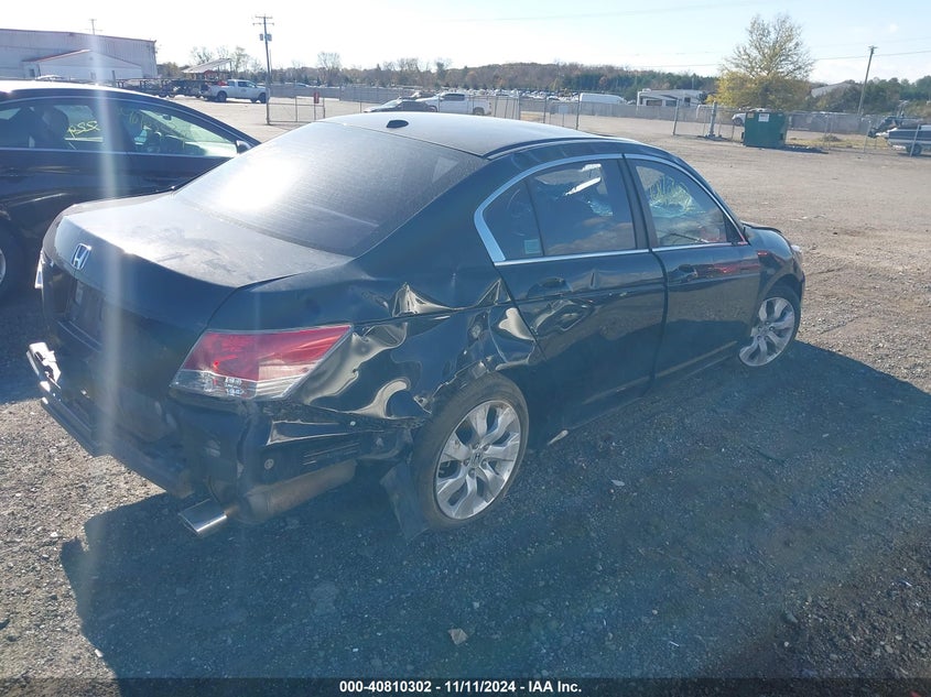2010 HONDA ACCORD VIN: 1HGCP2F86AA081827