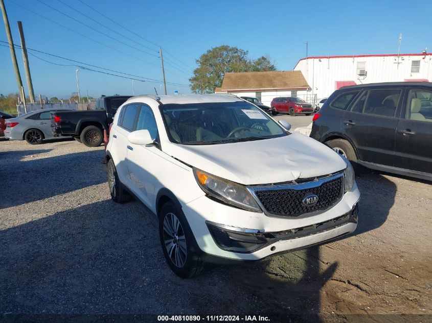 2016 Kia Sportage Ex VIN: KNDPC3AC1G7845781 Lot: 40810890