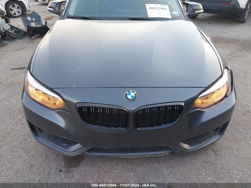 2014 BMW 228I VIN: WBA1F5C56EVV98870 Lot: 40812984