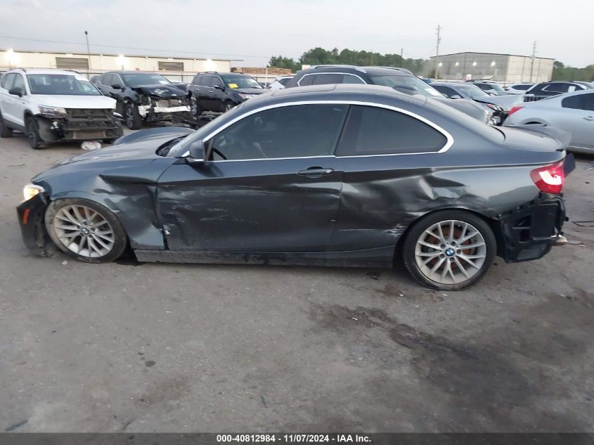 2014 BMW 228I VIN: WBA1F5C56EVV98870 Lot: 40812984