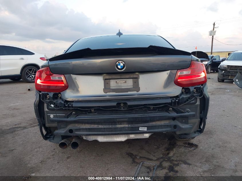 2014 BMW 228I VIN: WBA1F5C56EVV98870 Lot: 40812984