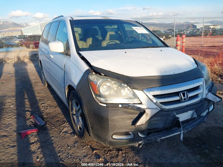 2007 Honda Odyssey Ex-L VIN: 5FNRL38717B125487 Lot: 40813346