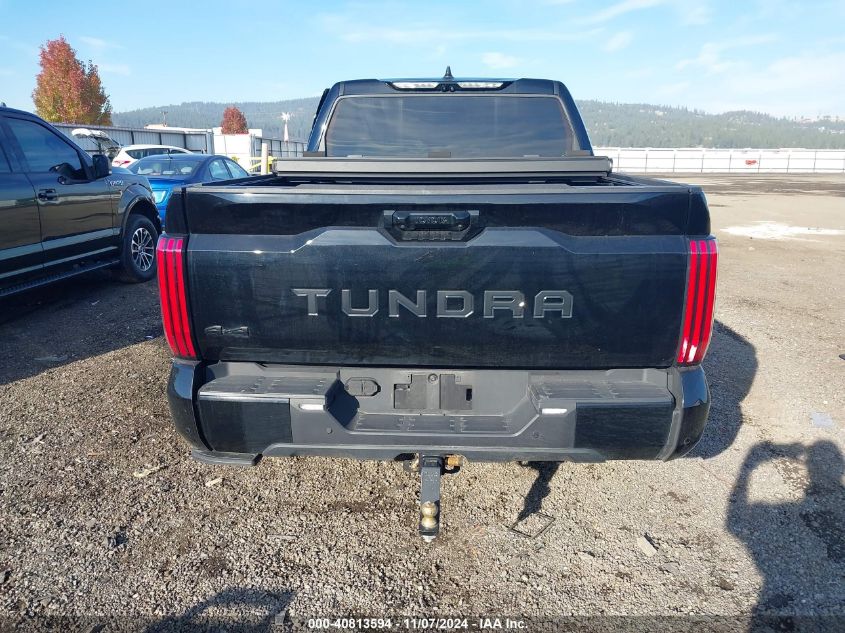 2023 Toyota Tundra Platinum VIN: 5TFNA5DBXPX117873 Lot: 40813594