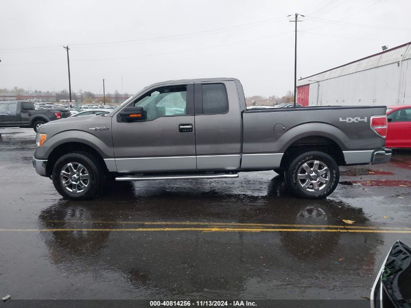 VIN 1FTFX1EF4DFC41054 2013 Ford F-150, Xlt no.14