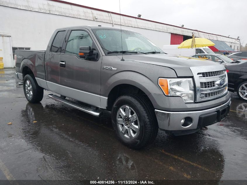 2013 Ford F-150, Xlt