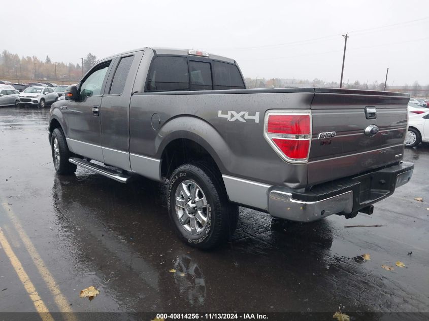 VIN 1FTFX1EF4DFC41054 2013 Ford F-150, Xlt no.3