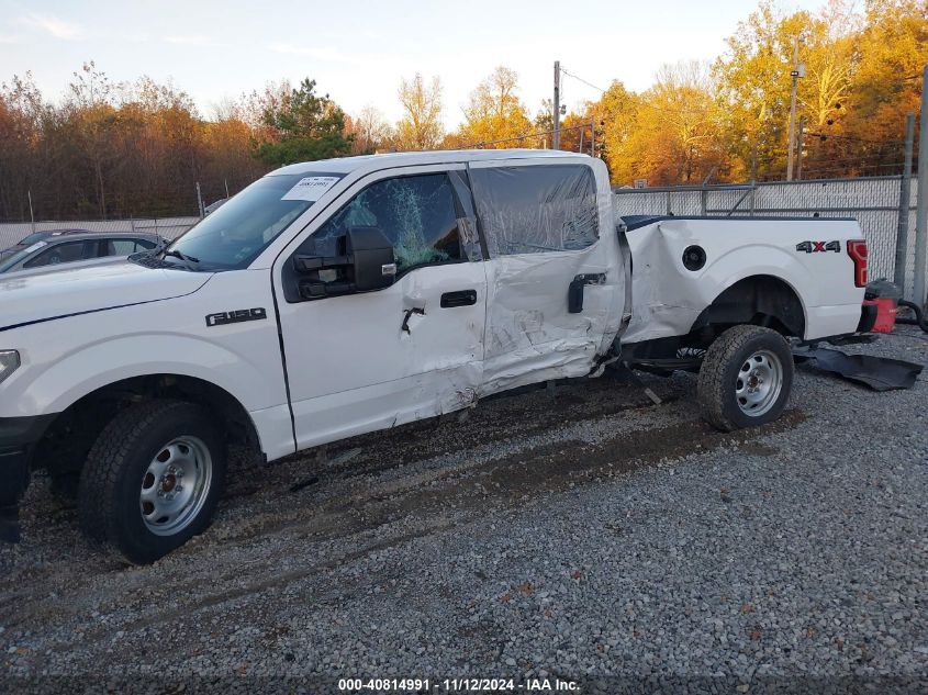 2019 Ford F-150 Xl VIN: 1FTFW1E52KKE41204 Lot: 40814991