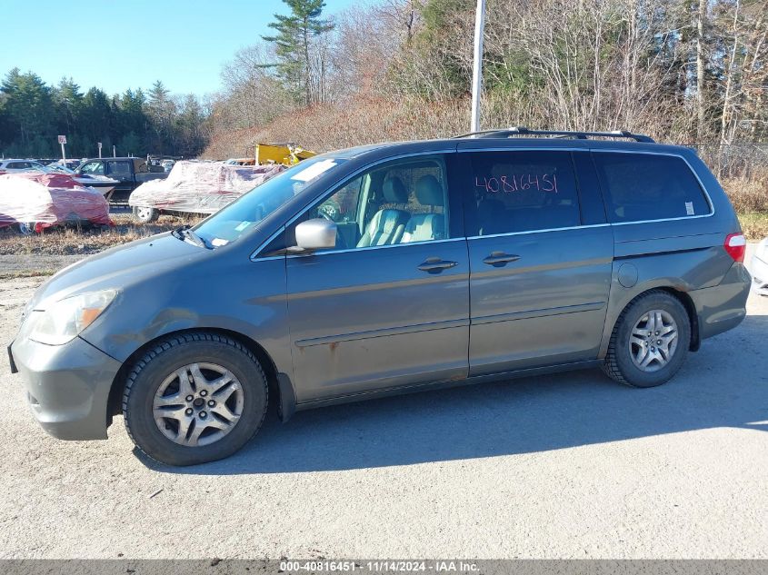 2007 Honda Odyssey Ex-L VIN: 5FNRL38717B442816 Lot: 40816451