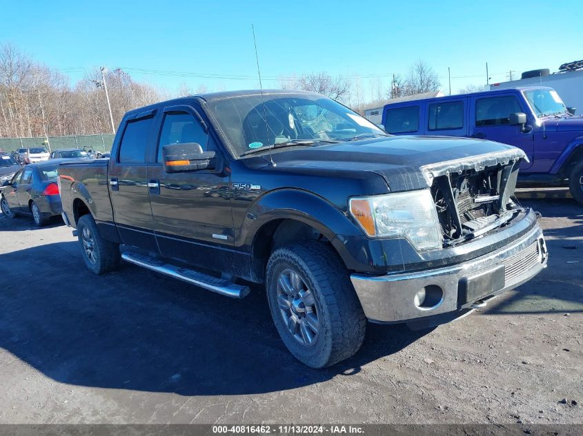 2011 Ford F-150 Xlt VIN: 1FTFW1ET3BFA54538 Lot: 40816462