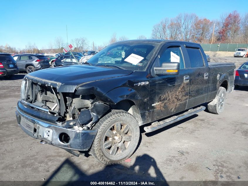 2011 Ford F-150 Xlt VIN: 1FTFW1ET3BFA54538 Lot: 40816462