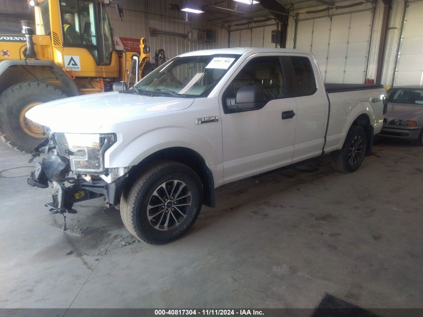 VIN 1FTFX1EF1FFC22450 2015 Ford F-150, XL no.2