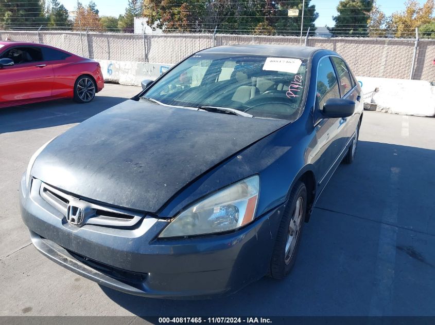 2004 Honda Accord 2.4 Ex VIN: JHMCM56694C038498 Lot: 40817465