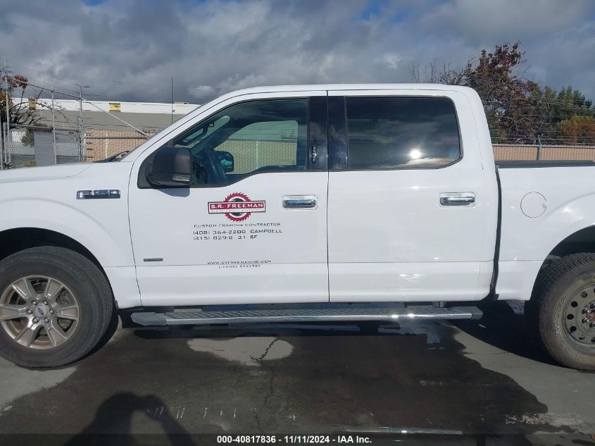 2015 FORD F-150 XLT - 1FTEW1EG2FKF06636