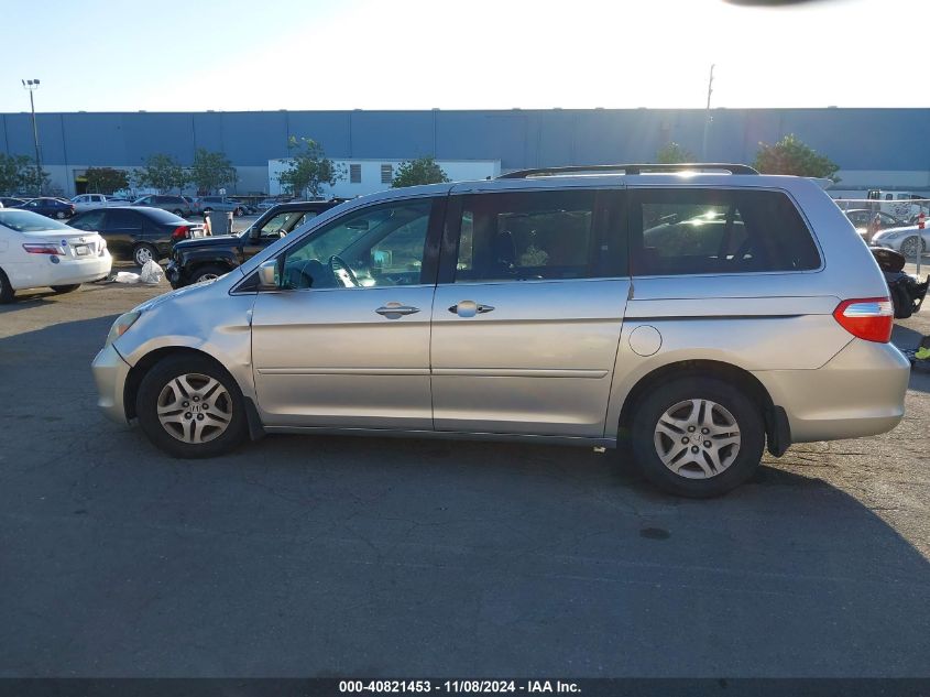 2007 Honda Odyssey Ex-L VIN: 5FNRL38767B426479 Lot: 40821453