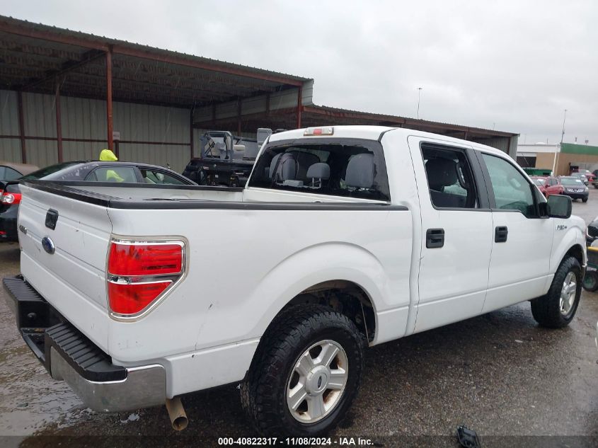 2013 Ford F-150 Xlt VIN: 1FTEW1CM9DFA90373 Lot: 40822317