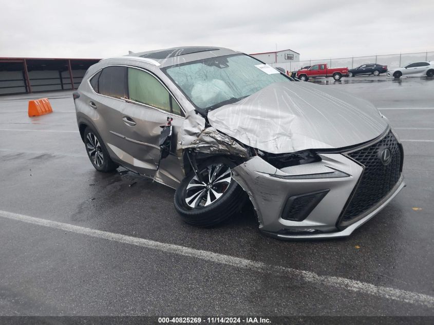 2020 Lexus NX 300, F Sport