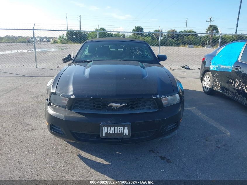 2011 Ford Mustang V6 Premium VIN: 1ZVBP8EM1B5101176 Lot: 40826582