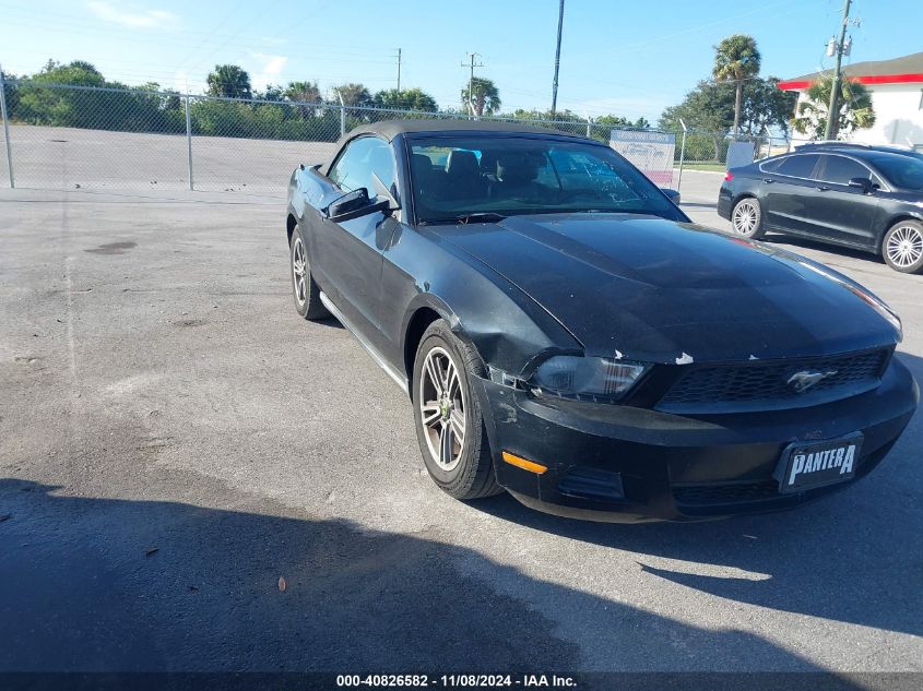 2011 Ford Mustang V6 Premium VIN: 1ZVBP8EM1B5101176 Lot: 40826582