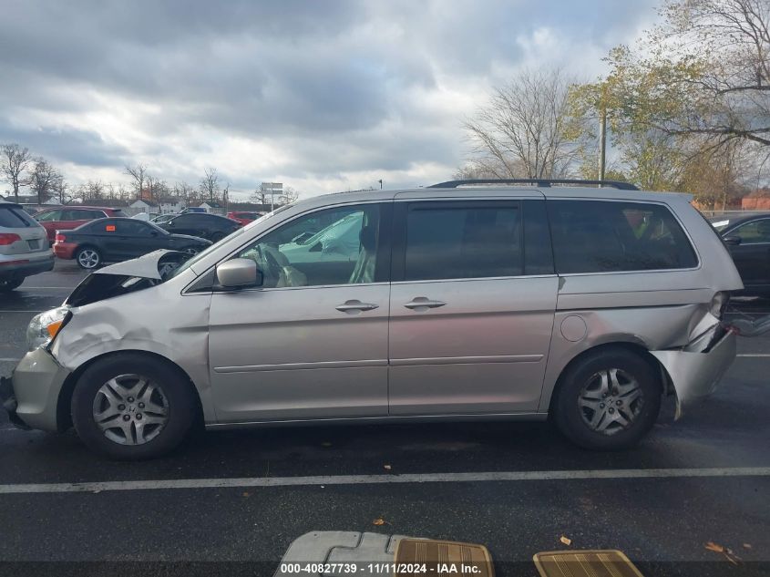 2007 Honda Odyssey Ex-L VIN: 5FNRL38717B031450 Lot: 40827739