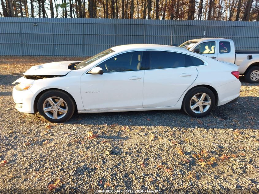 2019 Chevrolet Malibu 1Fl VIN: 1G1ZC5ST8KF203567 Lot: 40828594