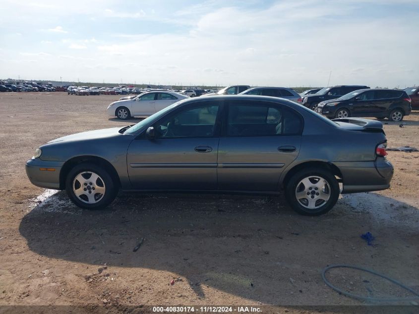 2005 Chevrolet Classic VIN: 1G1ND52F45M219920 Lot: 40830174