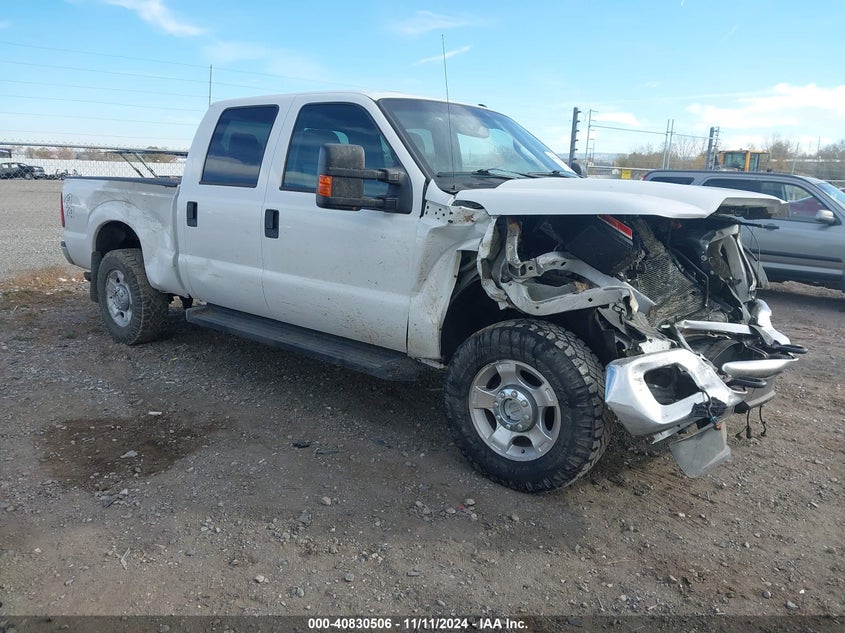 2012 FORD F250 VIN: 1FT7W2B66CEA35661