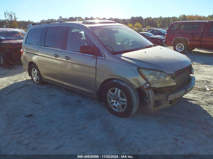 2005 Honda Odyssey Ex-L VIN: 5FNRL386X5B425078 Lot: 40830595