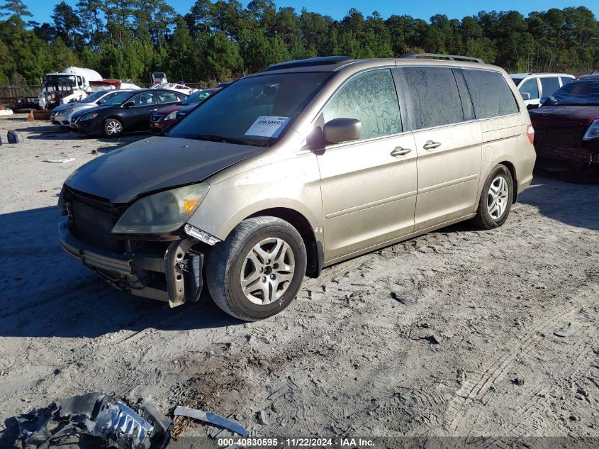 2005 Honda Odyssey Ex-L VIN: 5FNRL386X5B425078 Lot: 40830595