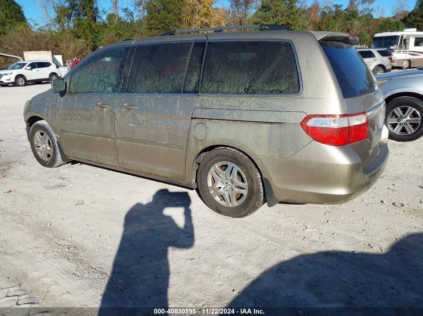 2005 Honda Odyssey Ex-L VIN: 5FNRL386X5B425078 Lot: 40830595