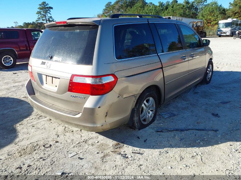 2005 Honda Odyssey Ex-L VIN: 5FNRL386X5B425078 Lot: 40830595