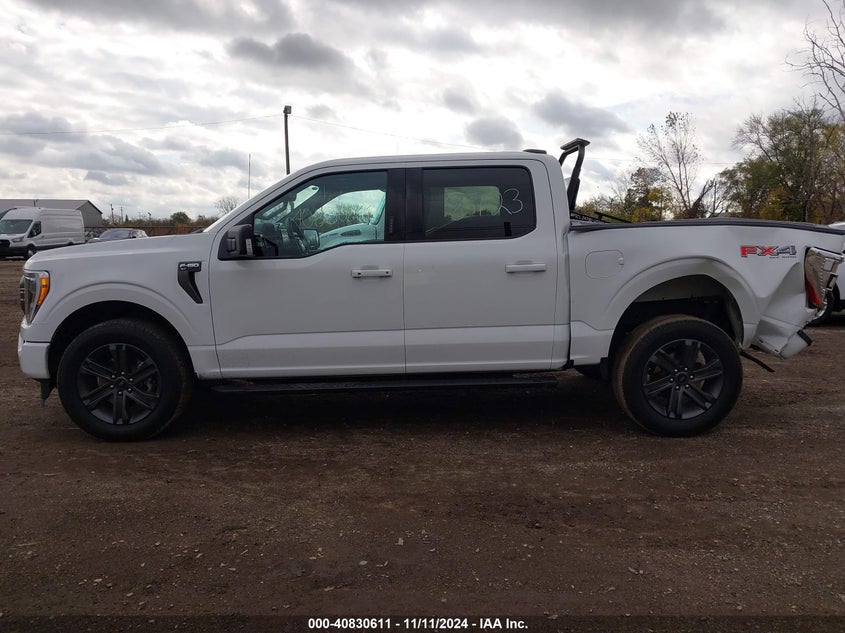 2023 FORD F-150 VIN: 1FTFW1E81PKF68723